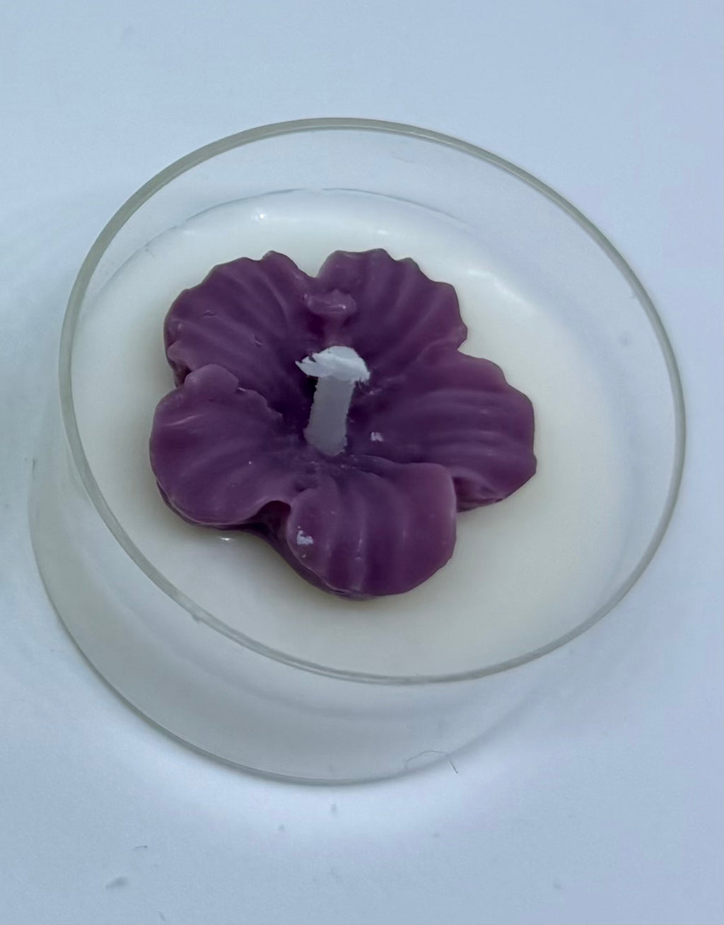 Teelichter Hibiskusblüten natur